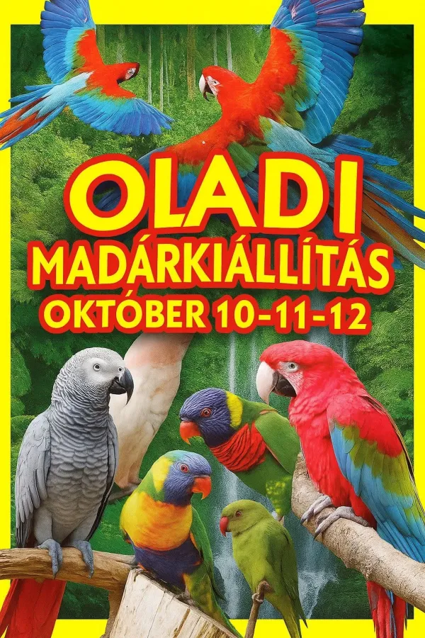 Kiállításunk 2025